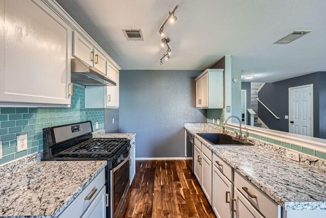 14418 Cummins Way, Manor, TX 78653 - kitchen featuring stainless steel appliances, under cabinet range hood, dark wood-style flooring, and tasteful backsplash