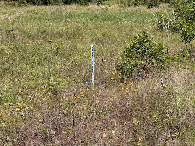 LOT2 Cottletown Rd, Smithville, TX 78957