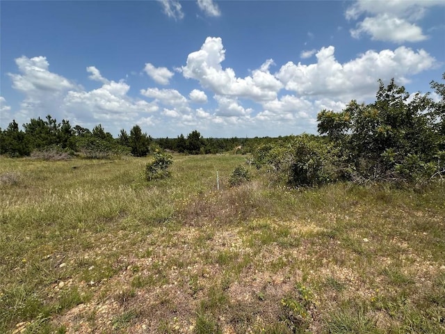 LOT2 Cottletown Rd, Smithville, TX 78957