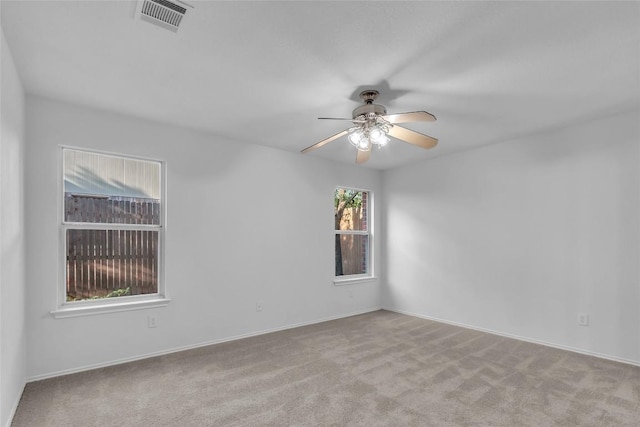 1012 Traci Michelle Dr, Pflugerville, TX 78660 - photo 17