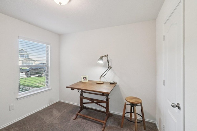 13605 Abigail Adams St, Manor, TX 78653 - office featuring dark colored carpet and baseboards