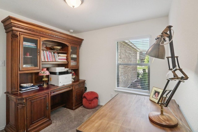 13605 Abigail Adams St, Manor, TX 78653 - view of office space