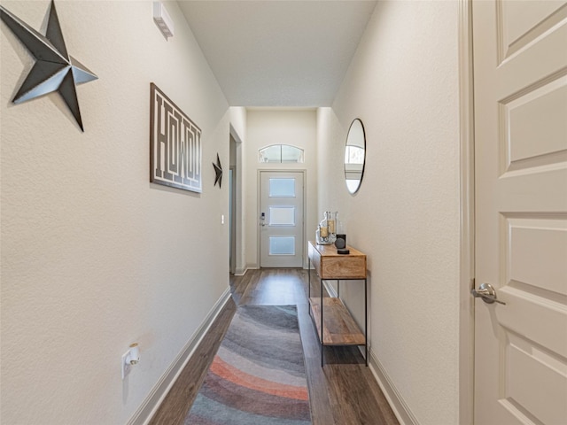 18212 Anicio Gallo Dr, Pflugerville, TX 78660 - photo 10