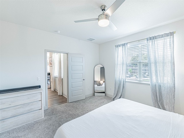 18212 Anicio Gallo Dr, Pflugerville, TX 78660 - photo 17