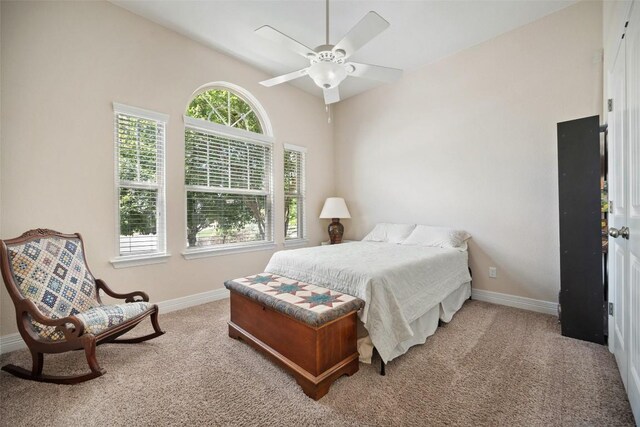 953 Vista Gardens Dr, Buda, TX 78610 - photo 22