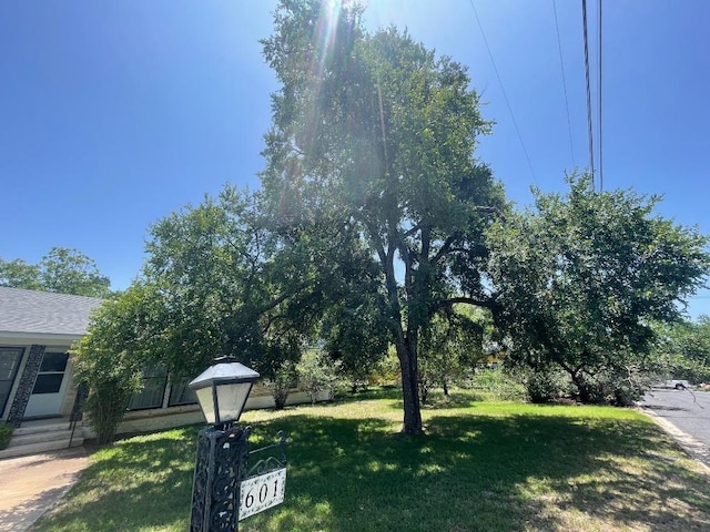 601 S Arnold St S, Lampasas, TX 76550 - view of grassy yard