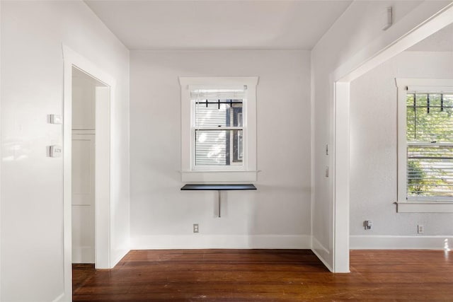 217 Leland St, Austin, TX 78704 - photo 8