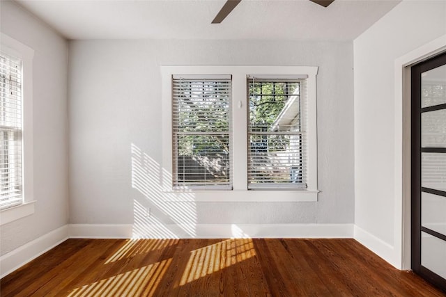 217 Leland St, Austin, TX 78704 - photo 15