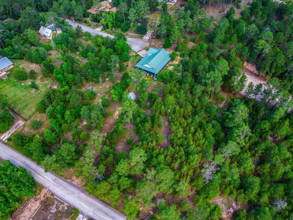 00 Makaha Dr, Bastrop, TX 78602