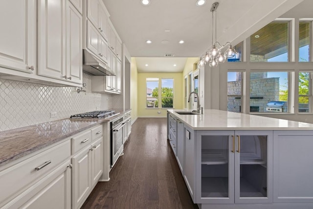 2708 Feathergrass Ct, Cedar Park, TX 78613 - kitchen featuring high end stainless steel range, dark wood-style floors, under cabinet range hood, recessed lighting, and tasteful backsplash