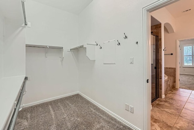 851 Catalina Ln, Austin, TX 78737 - walk in closet with arched walkways and light carpet