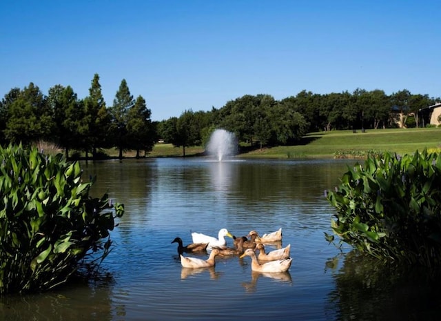 851 Catalina Ln, Austin, TX 78737 - water view