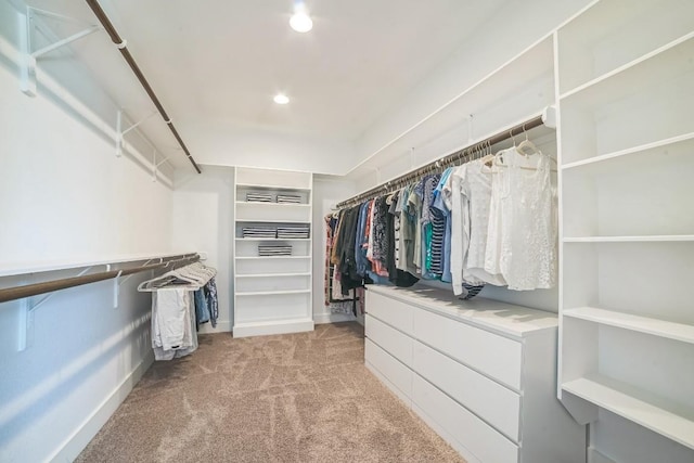 213 Woodland Hills Dr, Georgetown, TX 78633 - spacious closet with light colored carpet