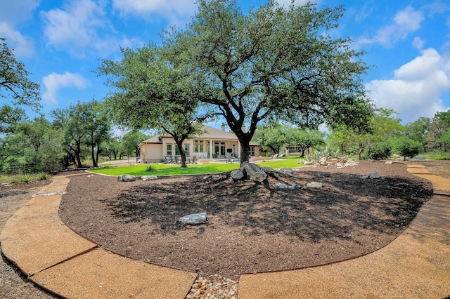 213 Woodland Hills Dr, Georgetown, TX 78633 - view of yard