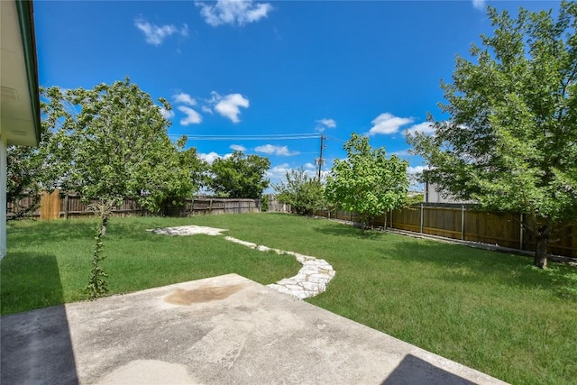 790 Winborne Way, Buda, TX 78610 - photo 18