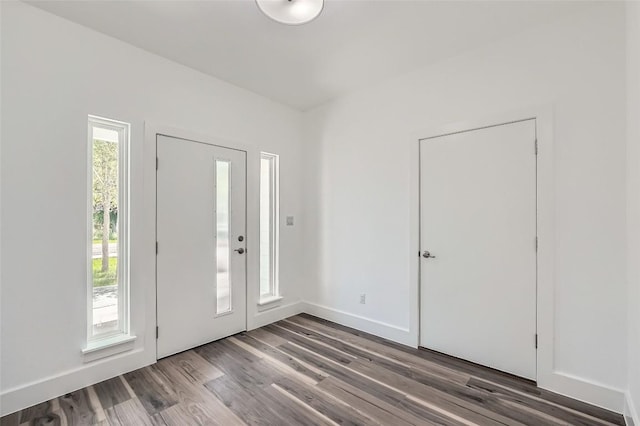 343 Nene Ln, Bastrop, TX 78602 - entryway featuring wood finished floors