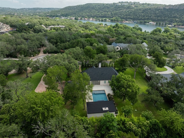 4105 Mcbrine Pl, Austin, TX 78746 - bird's eye view of a nearby body of water and a forest