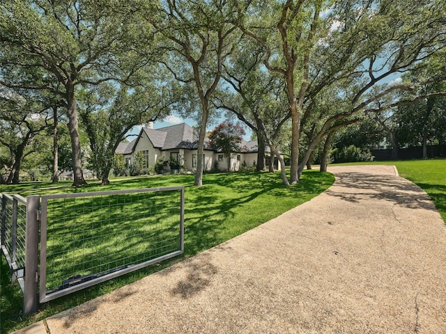 4105 Mcbrine Pl, Austin, TX 78746 - view of yard