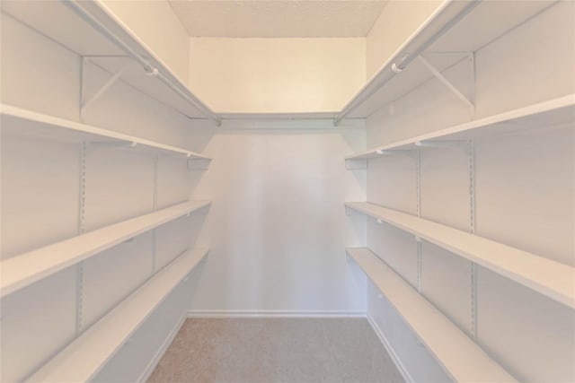 2008 Sandberg Dr, Austin, TX 78752 - walk in closet with carpet