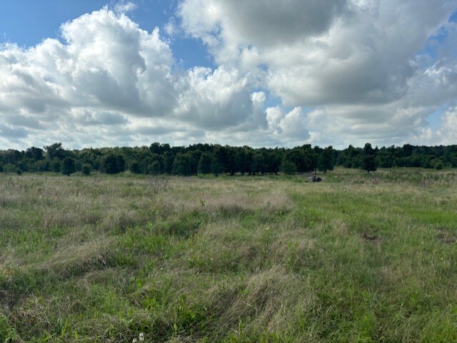 12155 E Travis St, Holland, TX 76534 - photo 5