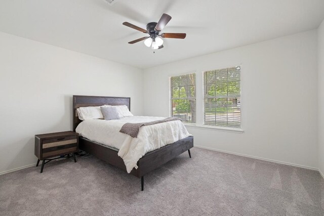 1643 Abbey Ln, Cedar Park, TX 78613 - bedroom featuring carpet and ceiling fan