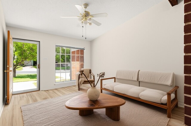 6804 Miranda Dr, Austin, TX 78752 - living room with light wood-type flooring and a ceiling fan
