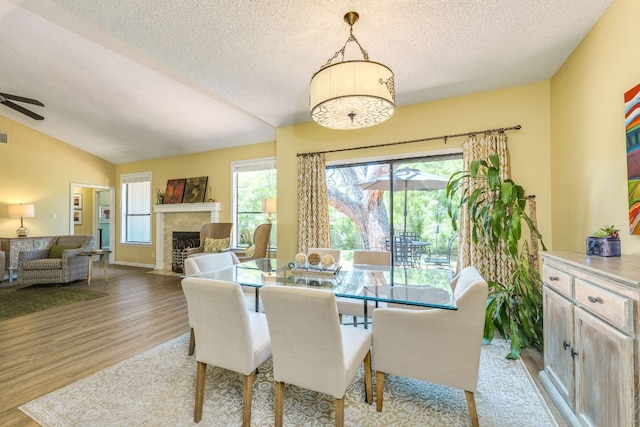 5808 Abilene Trl, Austin, TX 78749 - dining room featuring a textured ceiling, light wood-style flooring, plenty of natural light, a fireplace with flush hearth, and vaulted ceiling