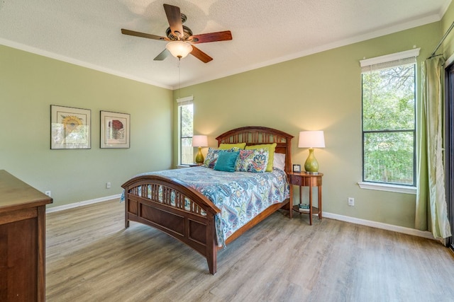 5808 Abilene Trl, Austin, TX 78749 - bedroom with wood finished floors, multiple windows, crown molding, a textured ceiling, and a ceiling fan