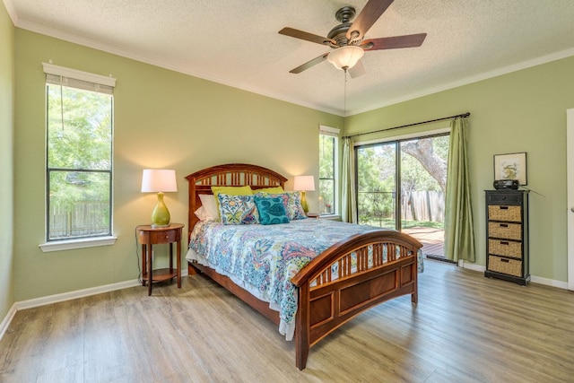 5808 Abilene Trl, Austin, TX 78749 - bedroom featuring access to exterior, wood finished floors, a textured ceiling, multiple windows, and crown molding