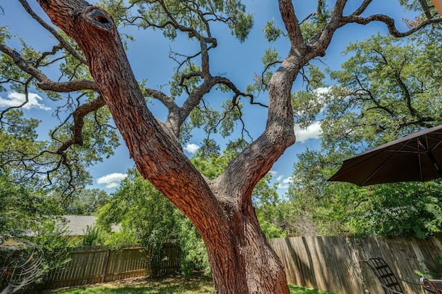 5808 Abilene Trl, Austin, TX 78749 - exterior view