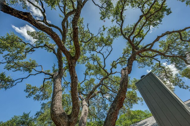5808 Abilene Trl, Austin, TX 78749 - exterior view of a chimney