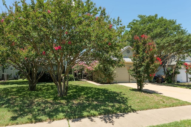 5808 Abilene Trl, Austin, TX 78749 - view of property hidden behind natural elements featuring concrete driveway and a front lawn