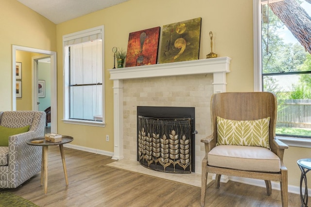 5808 Abilene Trl, Austin, TX 78749 - sitting room featuring wood finished floors and a fireplace with flush hearth