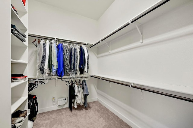 318 Gaspar Bnd, Cedar Park, TX 78613 - walk in closet with light colored carpet