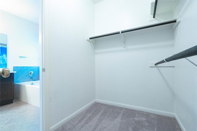 13903 Cantata Ln, Austin, TX 78660 - spacious closet with carpet floors