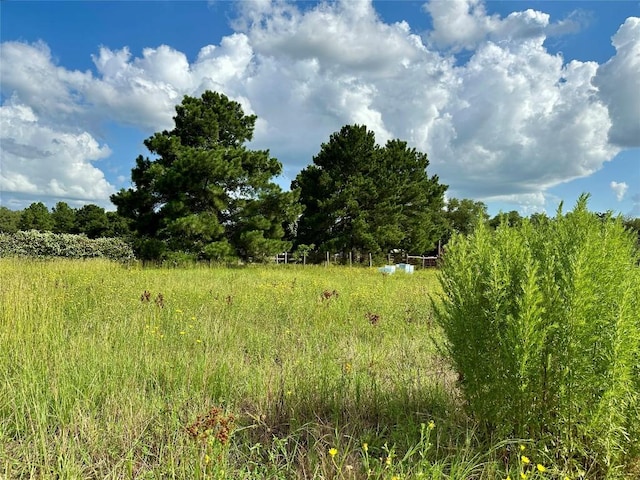 TBD Homestead Cir, Paige, TX 78659