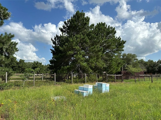 TBD Homestead Cir, Paige, TX 78659