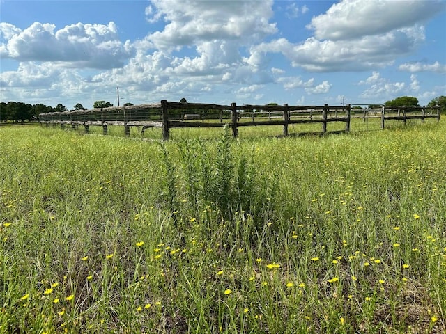 TBD Homestead Cir, Paige, TX 78659