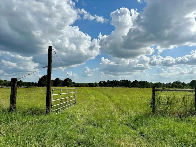 TBD Homestead Cir, Paige, TX 78659