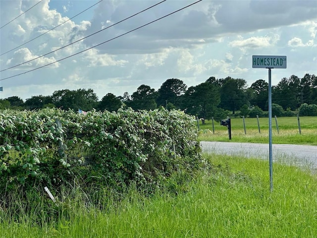 TBD Homestead Cir, Paige, TX 78659