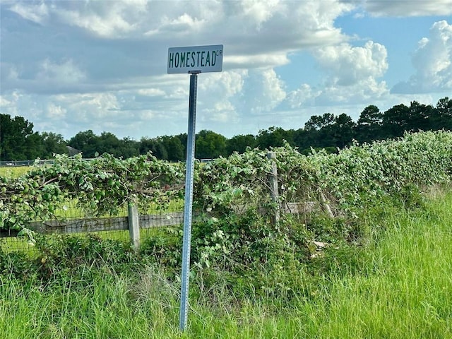 TBD Homestead Cir, Paige, TX 78659