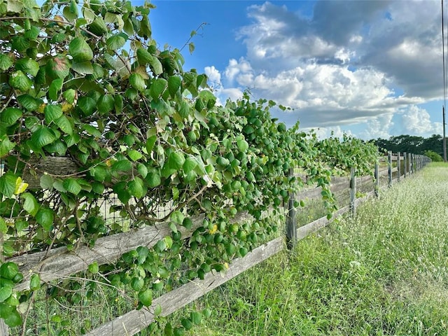 TBD Homestead Cir, Paige, TX 78659