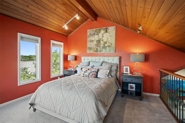 3601 Moon River Rd, Austin, TX 78746 - photo 21