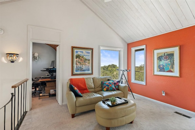 3601 Moon River Rd, Austin, TX 78746 - photo 19