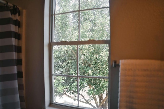 12805 Briarcreek Loop, Manor, TX 78653 - detailed view