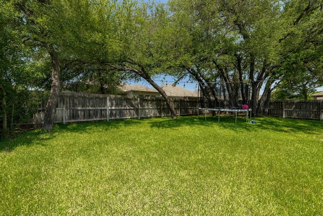 198 Sheridan Loop, Belton, TX 76513 - fenced backyard with a trampoline