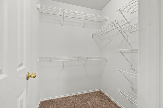 1481 E Old Settlers Blvd Unit 1802, Round Rock, TX 78664 - photo 23