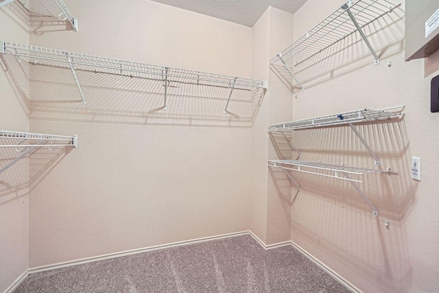 17714 Limpia Crk, Round Rock, TX 78664 - spacious closet featuring carpet floors