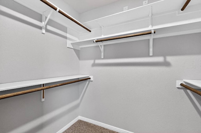 12301 Amber Lynn Path, Manor, TX 78653 - spacious closet with carpet floors