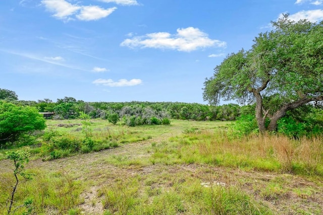250 Brunson Ln, Wimberley, TX 78676 - photo 35